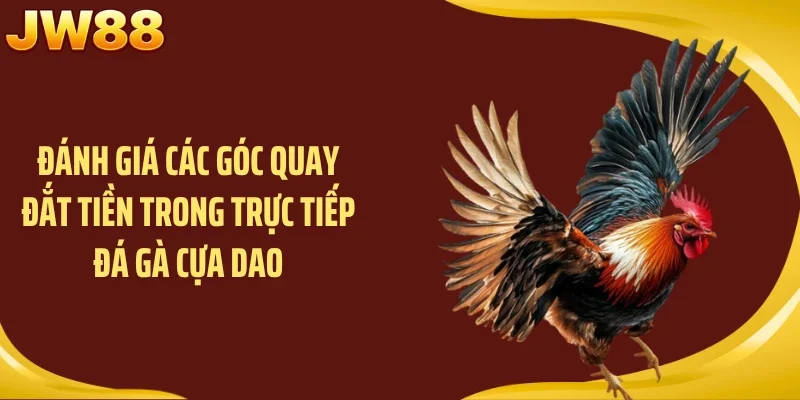 Đánh giá các góc quay đắt tiền trong trực tiếp đá gà cựa dao